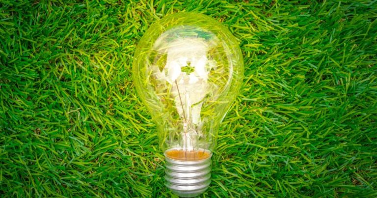 Quels sont les secrets de l’électricité verte ?